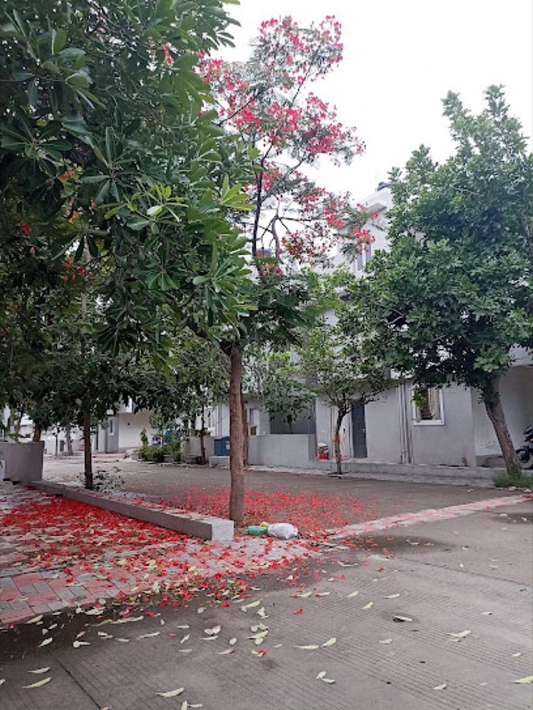 101 Green Homes in Sanand, Ahmedabad