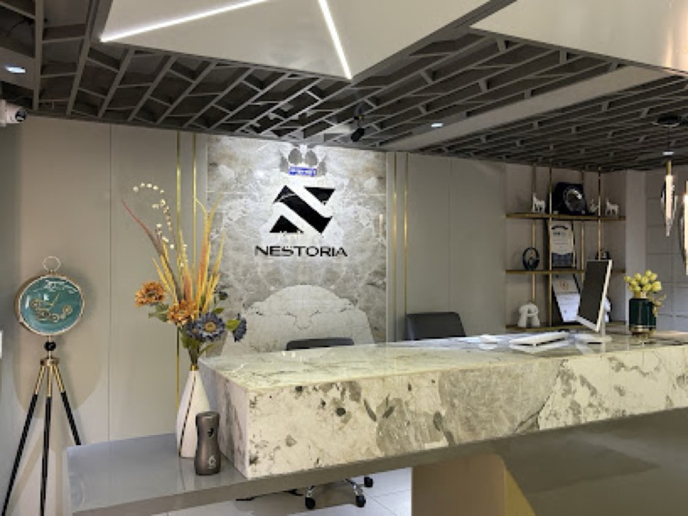 Nestoria Buildcon Pvt. Ltd. in Satellite, Ahmedabad