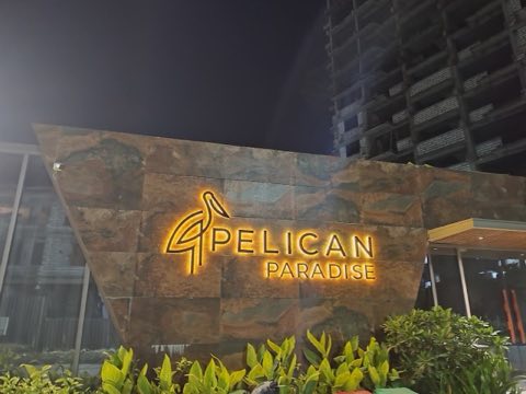 Pelican Paradise project photo 1 in Nikol, Ahmedabad