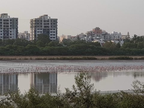 Royal Projects project photo 2 in Adajan, Surat