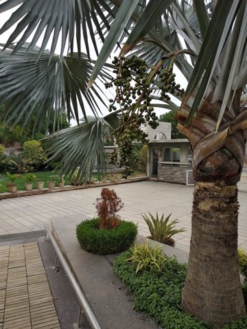 Satyam Developers Limited project photo 2 in Thaltej, Ahmedabad