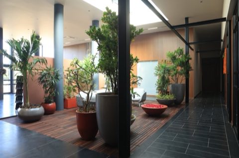Satyamev Developers project photo 2 in Jagatpur, Ahmedabad