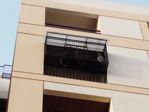SHANTAM HIGHLAND project photo 3 in Tarsali, Vadodara