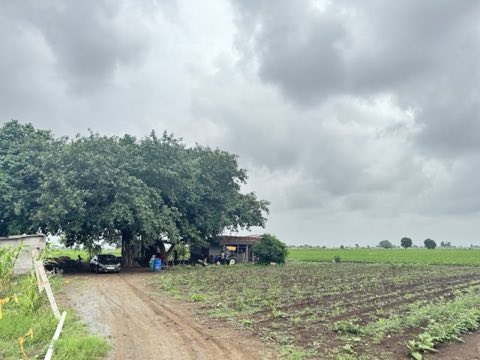 Vaghani farm project photo 2 in HH94+4P, Rajkot