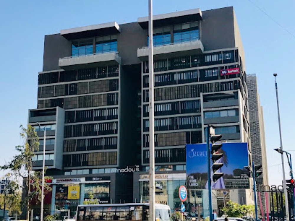 Venus Ivy in Jodhpur, Ahmedabad